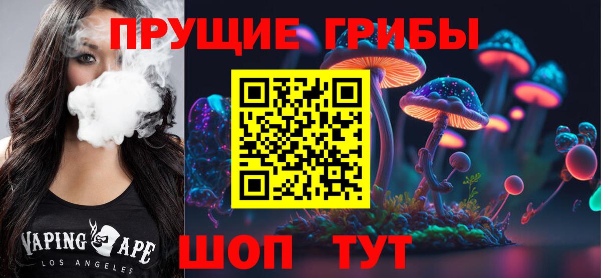 Псилоцибиновые грибы Psilocybe Троицк